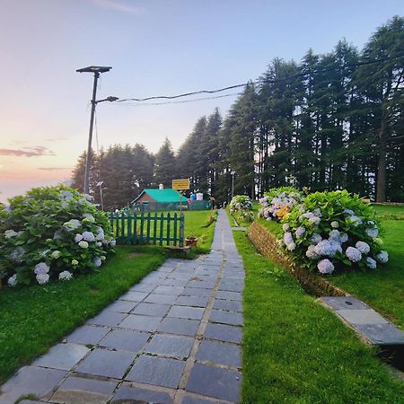 Forest Vibes Kalatop-Rooms And Restaurant Dalhousie Kültér fotó