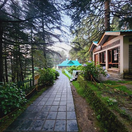 Forest Vibes Kalatop-Rooms And Restaurant Dalhousie Kültér fotó