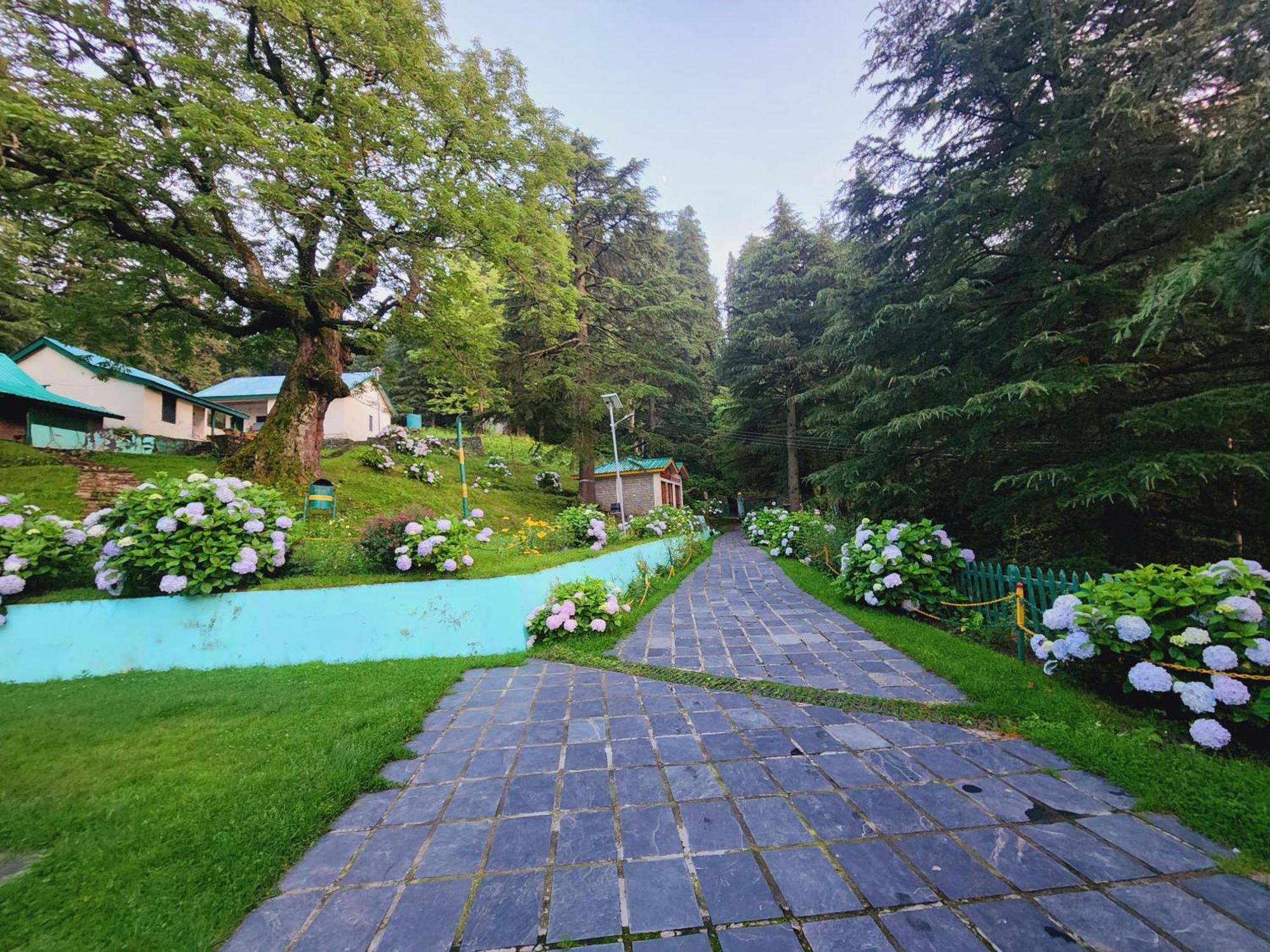 Forest Vibes Kalatop-Rooms And Restaurant Dalhousie Kültér fotó