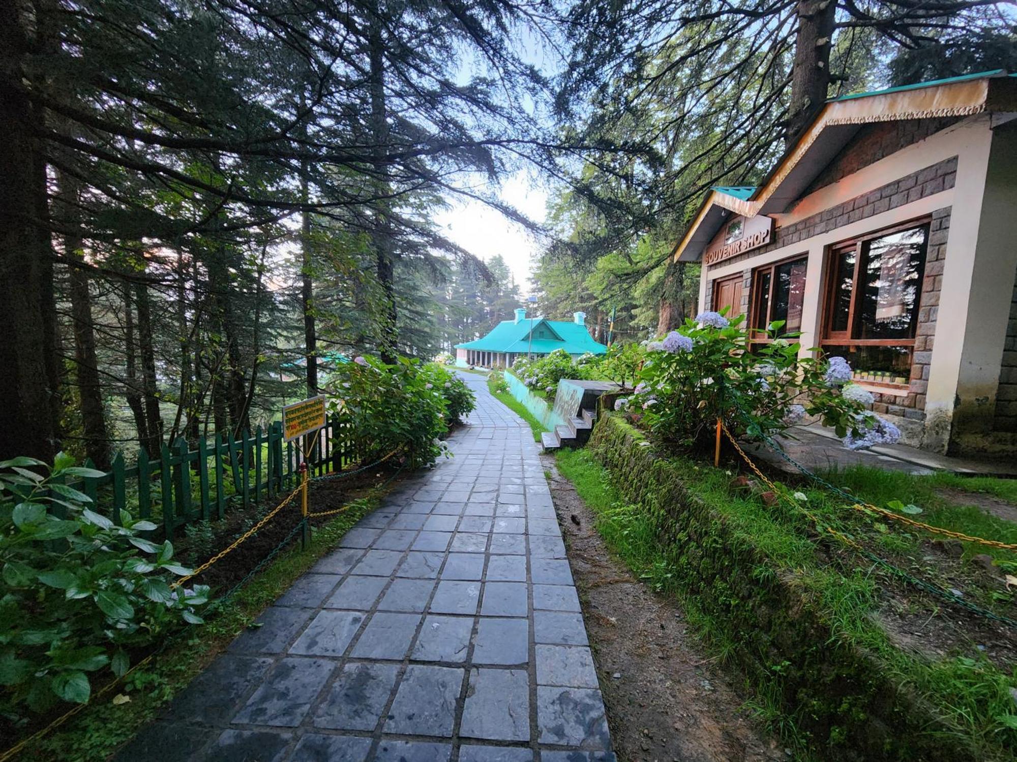 Forest Vibes Kalatop-Rooms And Restaurant Dalhousie Kültér fotó