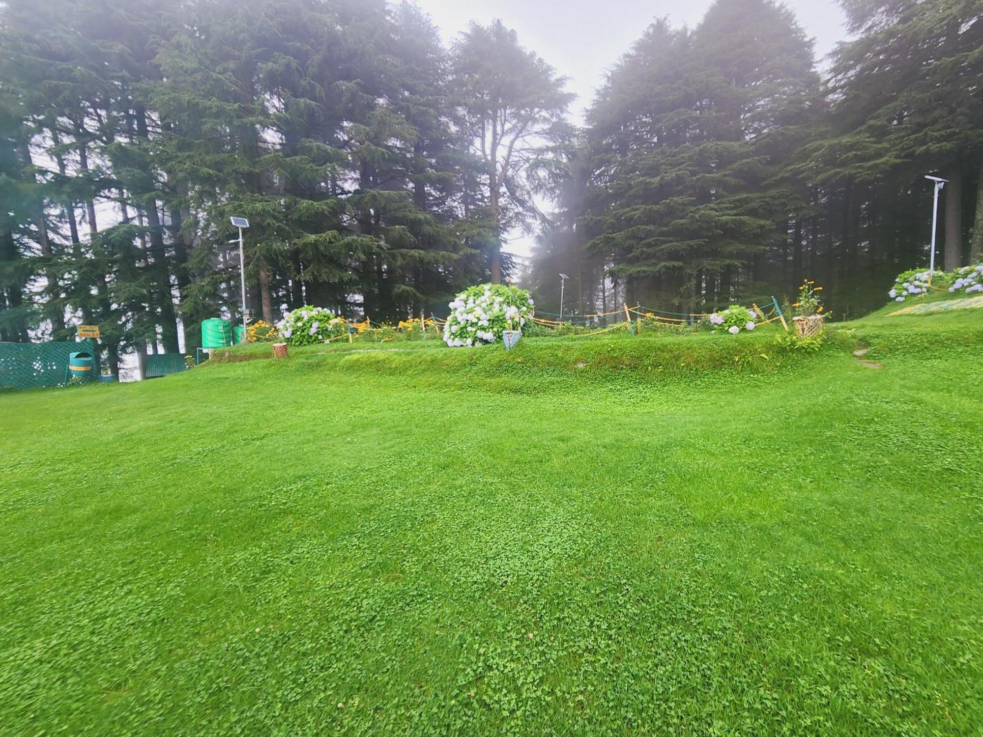 Forest Vibes Kalatop-Rooms And Restaurant Dalhousie Kültér fotó