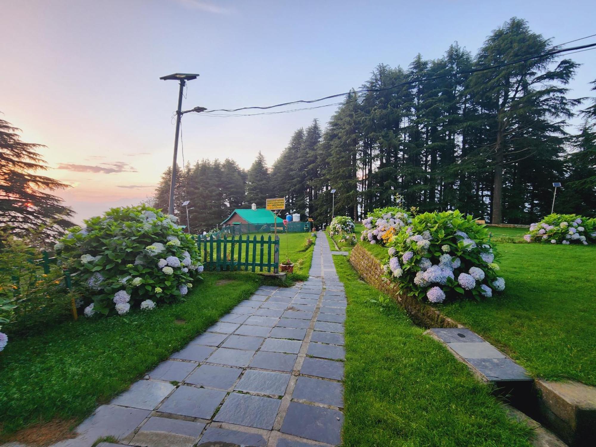 Forest Vibes Kalatop-Rooms And Restaurant Dalhousie Kültér fotó