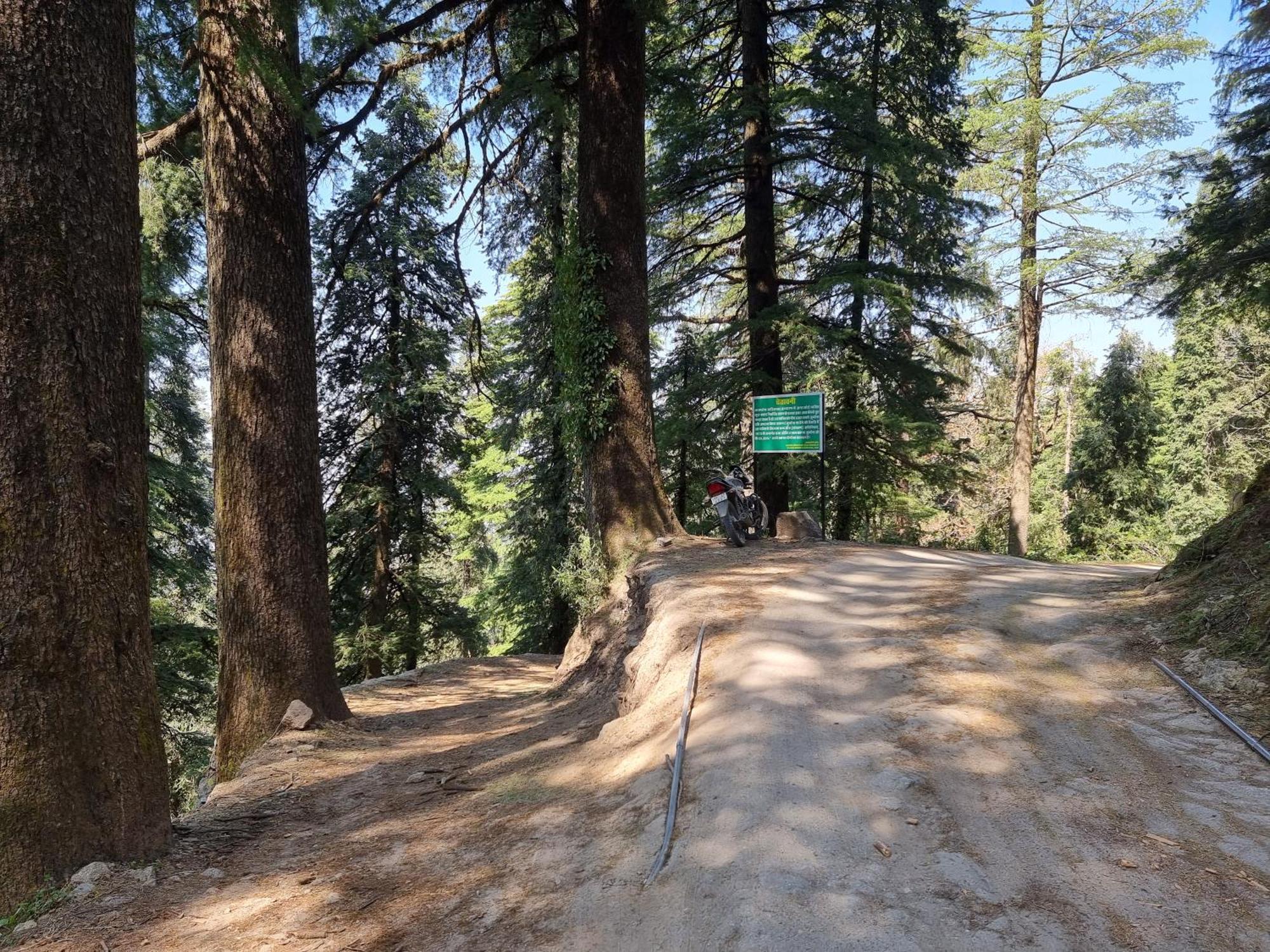 Forest Vibes Kalatop-Rooms And Restaurant Dalhousie Kültér fotó