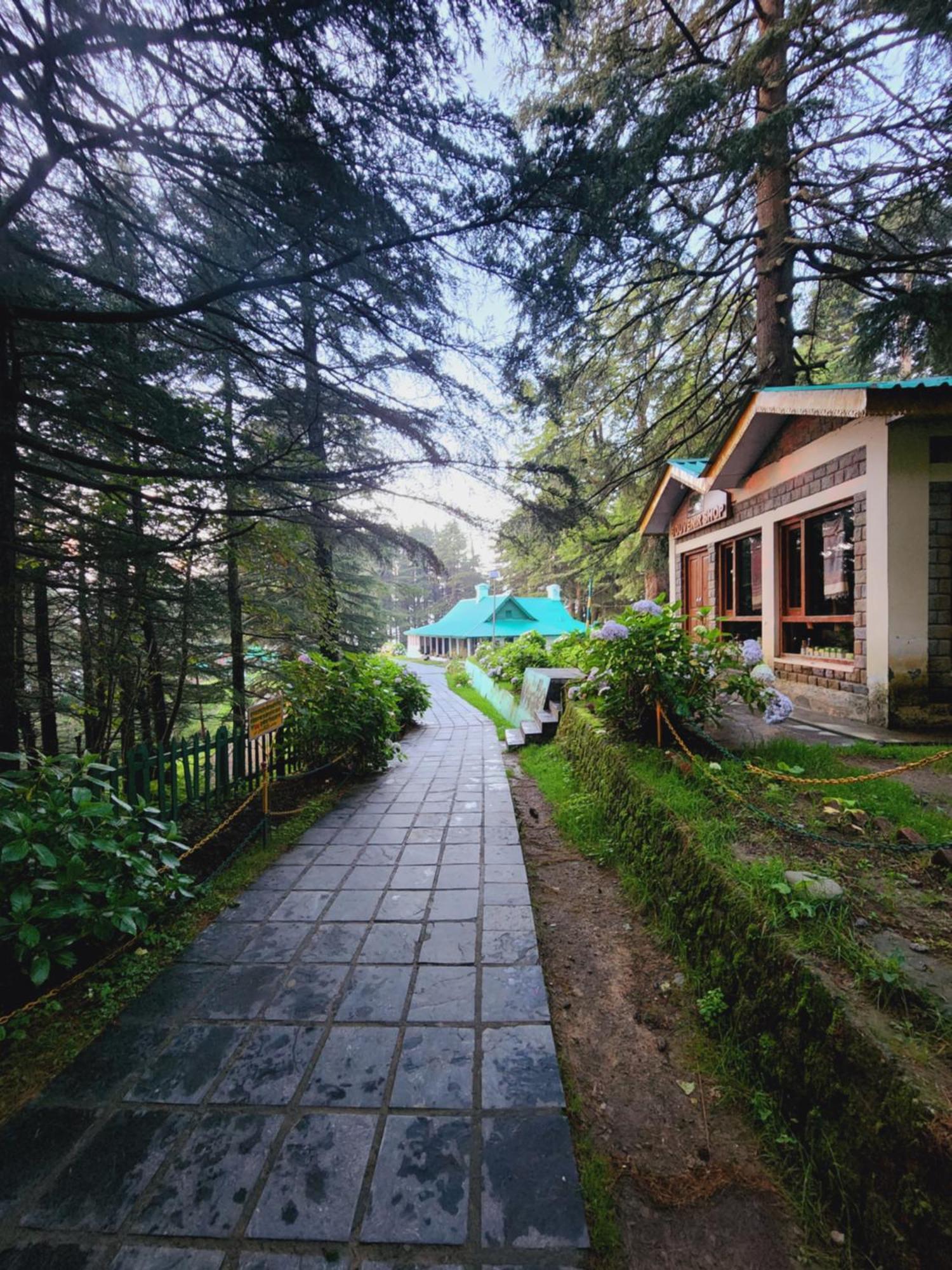 Forest Vibes Kalatop-Rooms And Restaurant Dalhousie Kültér fotó