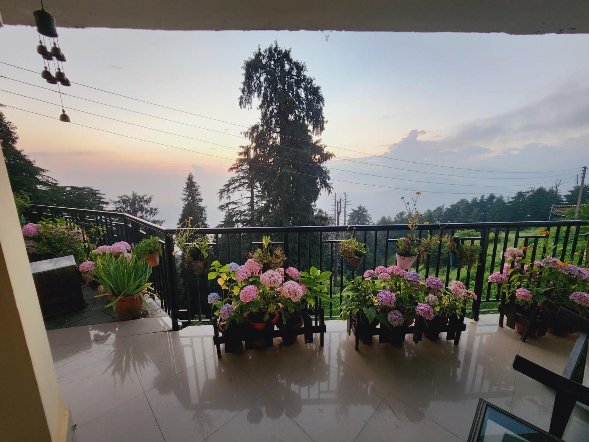 Forest Vibes Kalatop-Rooms And Restaurant Dalhousie Kültér fotó