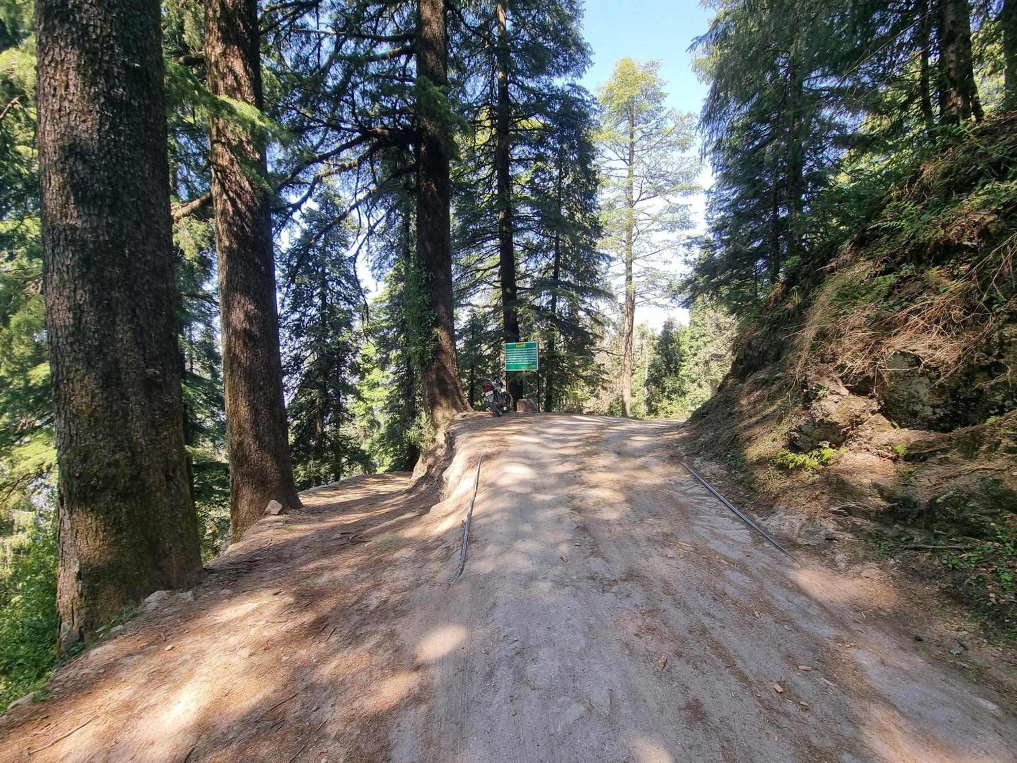 Forest Vibes Kalatop-Rooms And Restaurant Dalhousie Kültér fotó